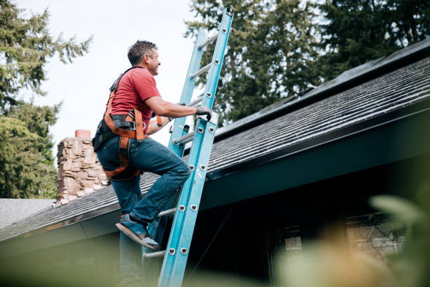 Best Roof Maintenance and Cleaning  in Dalton Gardens, ID